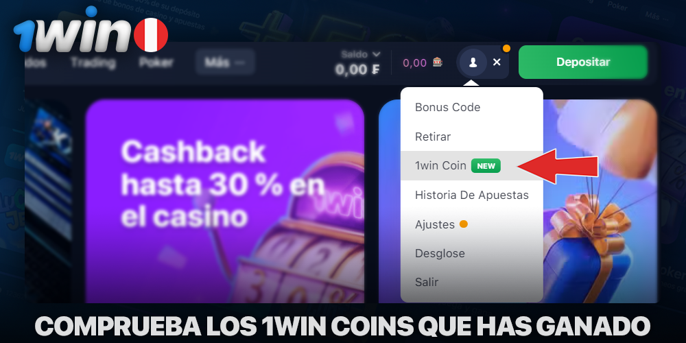 Comprobar el saldo de monedas 1win